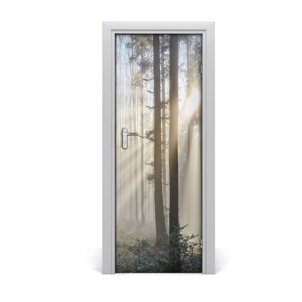 Door wallpaper Fog in the forest