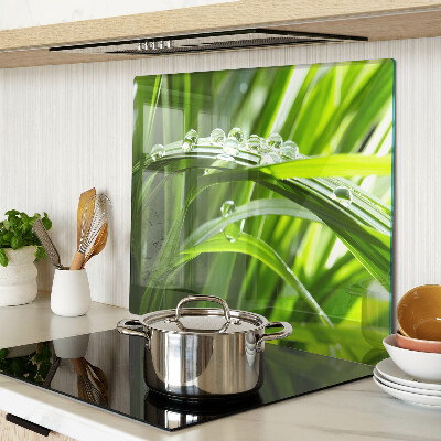Glass kitchen board Drops of water on the grass