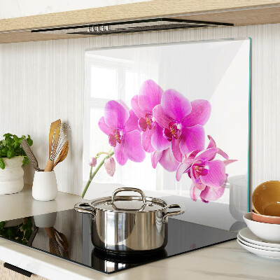Glass kitchen board Orchids in shades of pink