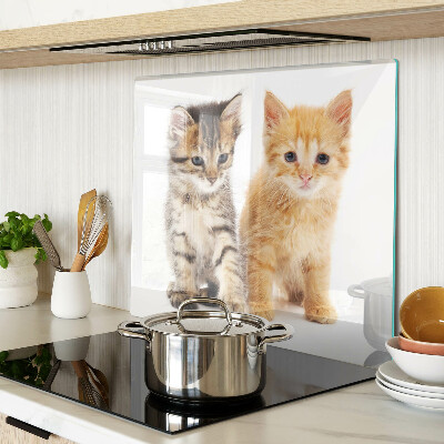 Glass kitchen board Cats on a white background