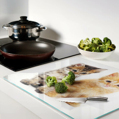 Glass kitchen board Cats on a white background