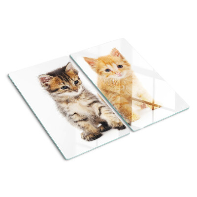 Glass kitchen board Cats on a white background