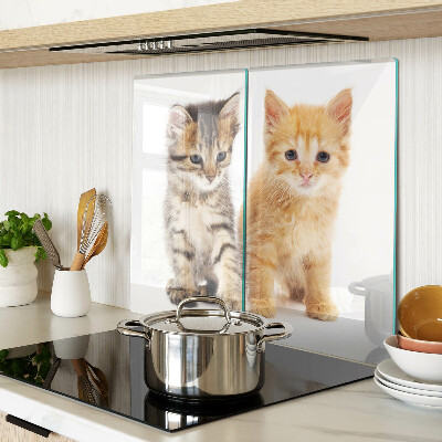 Glass kitchen board Cats on a white background