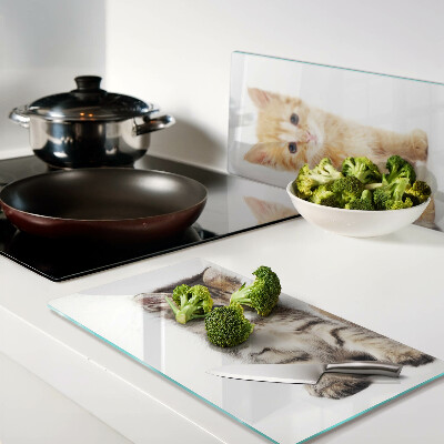 Glass kitchen board Cats on a white background