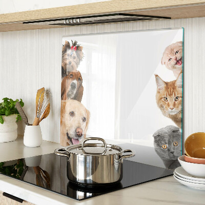 Glass chopping board Dogs and cats in different poses