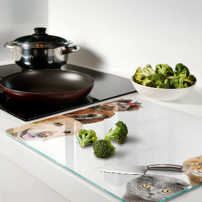 Glass chopping board Dogs and cats in different poses