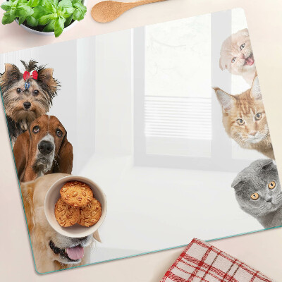 Glass chopping board Dogs and cats in different poses