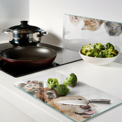 Glass chopping board Dogs and cats in different poses