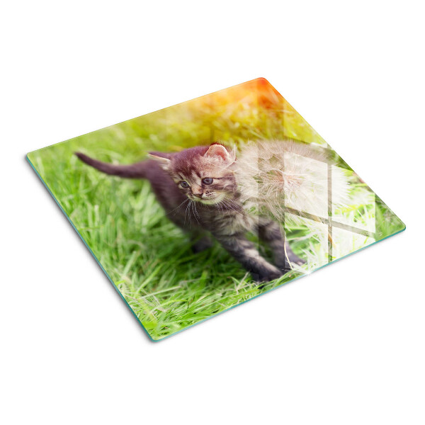 Glass chopping board Cat on the grass