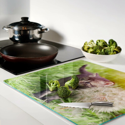 Glass chopping board Cat on the grass