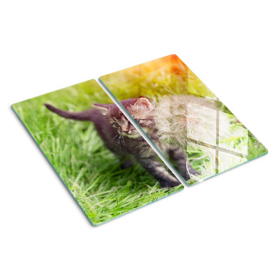 Glass chopping board Cat on the grass
