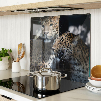 Glass kitchen board Cheetahs on a dark background