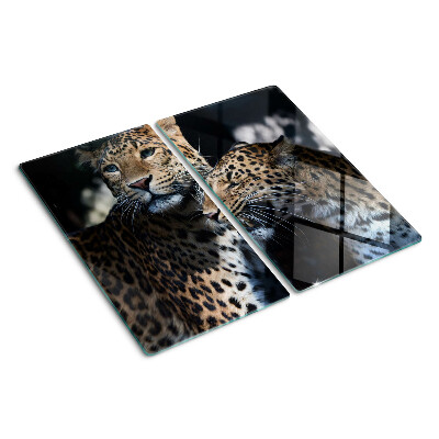 Glass kitchen board Cheetahs on a dark background
