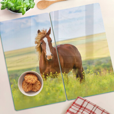 Glass kitchen board Horse in the meadow