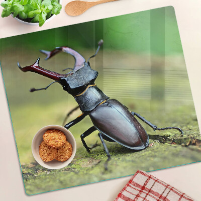 Glass chopping board Stag beetle on a green background