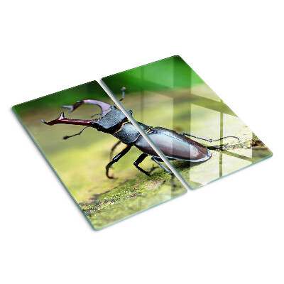 Glass chopping board Stag beetle on a green background