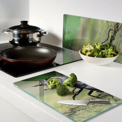 Glass chopping board Stag beetle on a green background