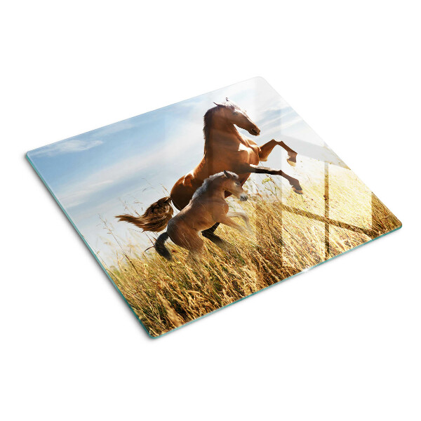 Glass kitchen board Horses in a meadow in the sun