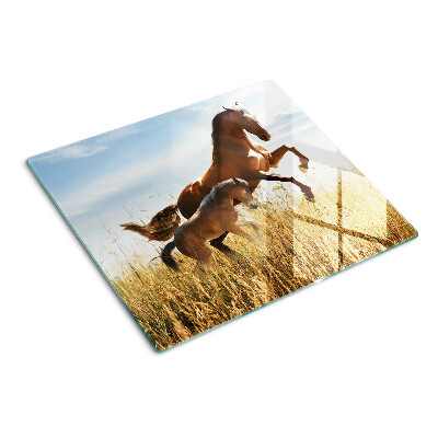 Glass kitchen board Horses in a meadow in the sun