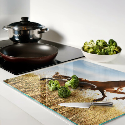Glass kitchen board Horses in a meadow in the sun