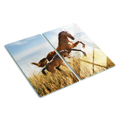 Glass kitchen board Horses in a meadow in the sun