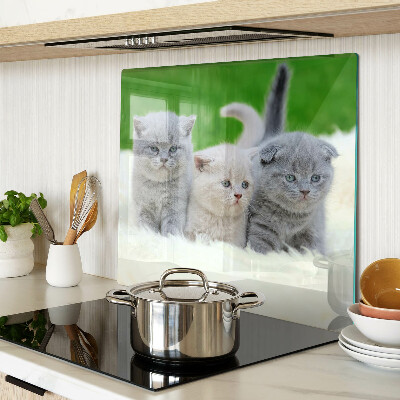 Glass kitchen board Kittens on a green background