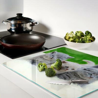 Glass kitchen board Kittens on a green background