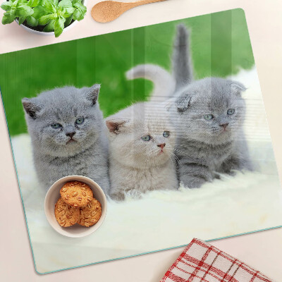 Glass kitchen board Kittens on a green background