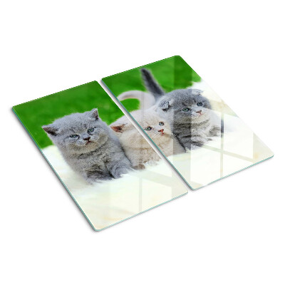 Glass kitchen board Kittens on a green background
