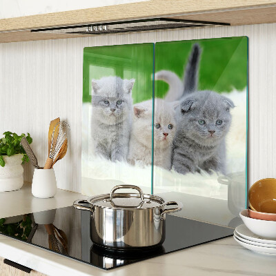 Glass kitchen board Kittens on a green background