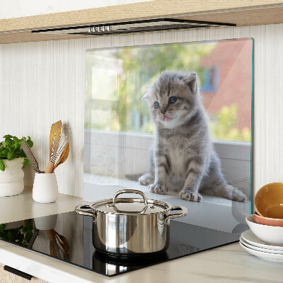 Glass kitchen board Kitten on the windowsill