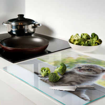 Glass kitchen board Kitten on the windowsill