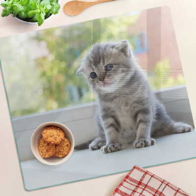 Glass kitchen board Kitten on the windowsill