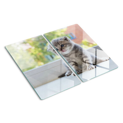 Glass kitchen board Kitten on the windowsill