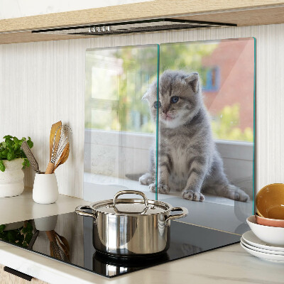 Glass kitchen board Kitten on the windowsill