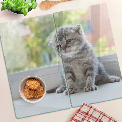 Glass kitchen board Kitten on the windowsill
