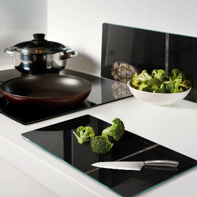 Glass kitchen board Lion on a dark background