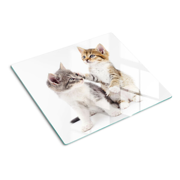 Glass chopping board Cats on a white background