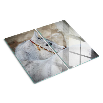 Glass chopping board White young horse