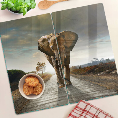 Glass kitchen board Elephant on the road at sunset