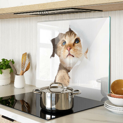 Glass kitchen board A cat looking through a hole in the wall