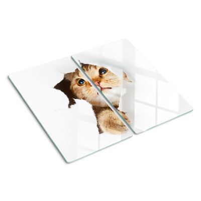 Glass kitchen board A cat looking through a hole in the wall