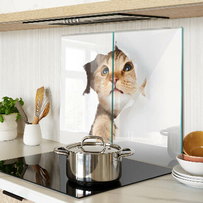Glass kitchen board A cat looking through a hole in the wall