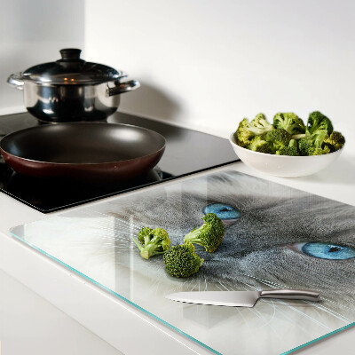 Glass kitchen board Cat with blue eyes