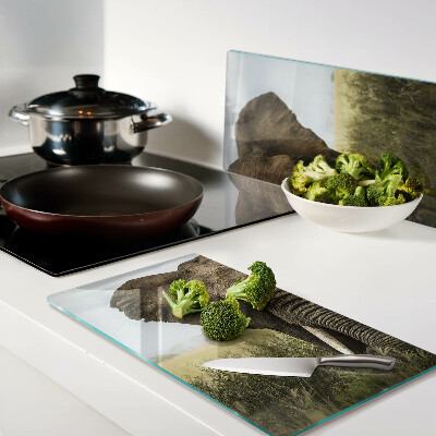 Glass kitchen board An elephant against the backdrop of the African savannah