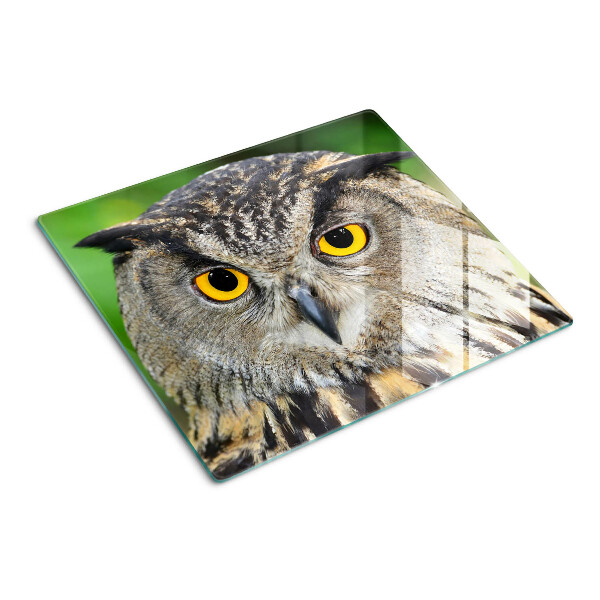 Glass kitchen board Owl with expressive eyes