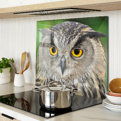 Glass kitchen board Owl with expressive eyes