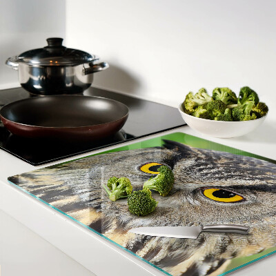 Glass kitchen board Owl with expressive eyes