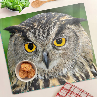 Glass kitchen board Owl with expressive eyes