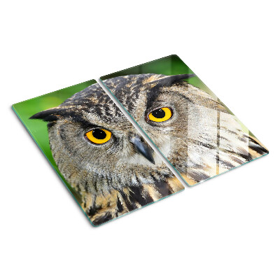 Glass kitchen board Owl with expressive eyes